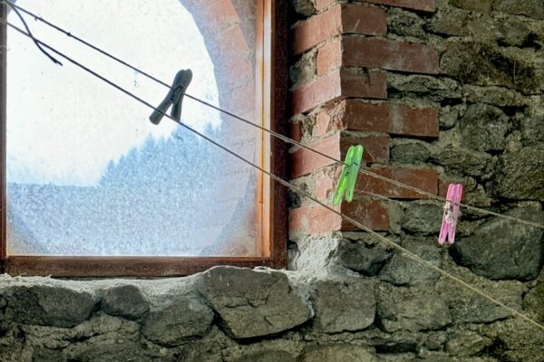 Trois seulement IMG_0027