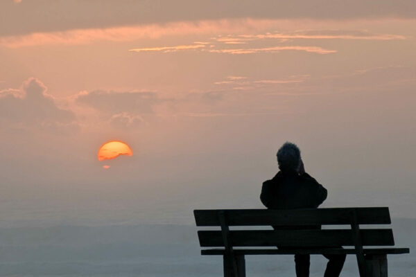 PXL_20251216_161804183.RAW-01.MP.COVER