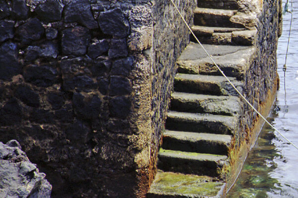 CyberViewX v5.16.55Model Code=58F/W Version=1.19